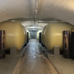 Vineyard Tours and Wine Tastings - Grevenmacher