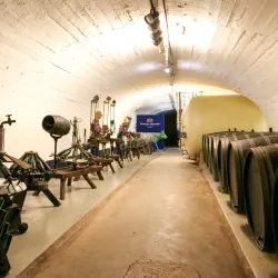 Vineyard Tours and Wine Tastings - Grevenmacher