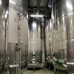 Vineyard Tours and Wine Tastings - Grevenmacher