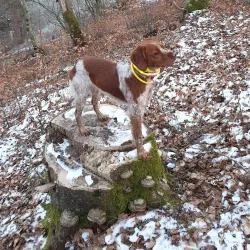 Local Walking Trails - Kayl