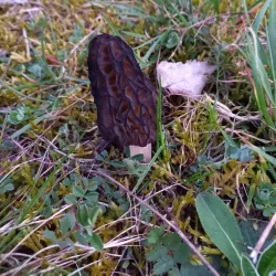 Nature Reserves in the Region - Kayl