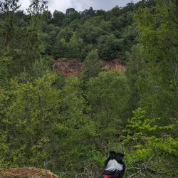 Nature Reserves in the Region - Kayl