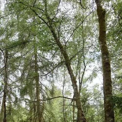 Nature Reserves in the Region - Kayl