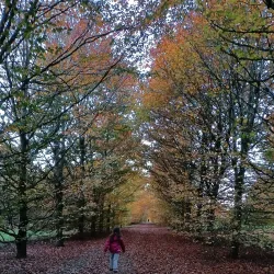 Parc Hosingen - Kayl