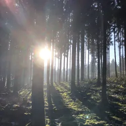 Parc Hosingen - Kayl