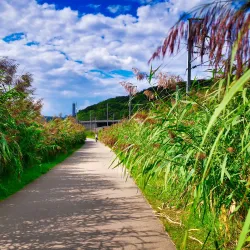 Alzette River Trail - Lorentzweiler