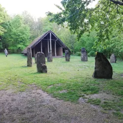 Lorentzweiler Forest - Lorentzweiler