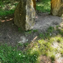 Lorentzweiler Forest - Lorentzweiler