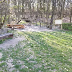 Lorentzweiler Forest - Lorentzweiler