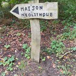 Lorentzweiler Forest - Lorentzweiler