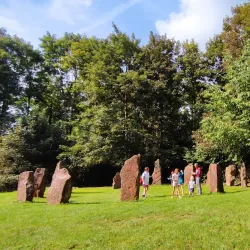 Lorentzweiler Forest - Lorentzweiler