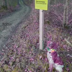 Nearby Nature Reserves - Lorentzweiler