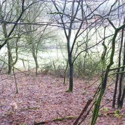 Nearby Nature Reserves - Lorentzweiler