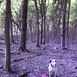 Nearby Nature Reserves - Lorentzweiler