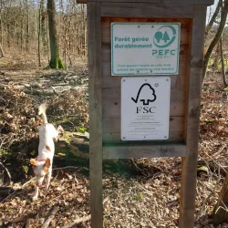 Nearby Nature Reserves - Lorentzweiler