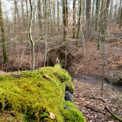 Nearby Nature Reserves - Lorentzweiler