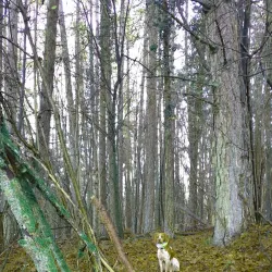 Nearby Nature Reserves - Lorentzweiler