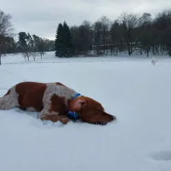 Golf Club Grand Ducal - Mondercange