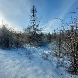 Local Hiking and Cycling Trails - Mondercange