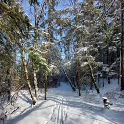 Local Hiking and Cycling Trails - Mondercange