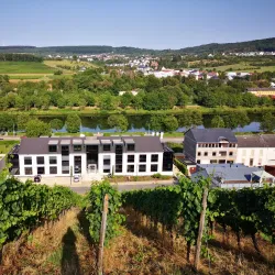 Moselle Valley Wine Route - Mondercange
