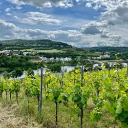 Moselle Valley Wine Route - Mondercange