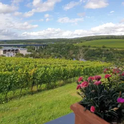 Moselle Valley Wine Route - Mondercange