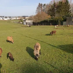 Esch-sur-Alzette - Rodange