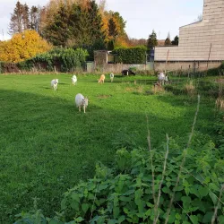 Esch-sur-Alzette - Rodange