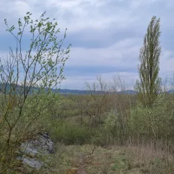 Esch-sur-Alzette - Rodange