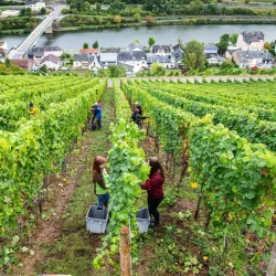 Nearby Moselle Valley - Rumelange