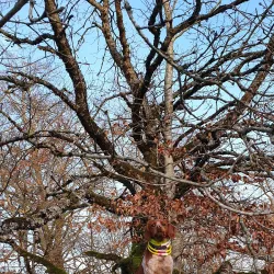 Walking and Hiking Trails - Rumelange