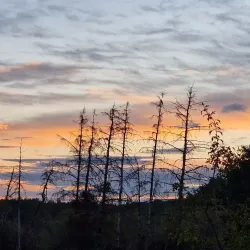 Esch-sur-Alzette - Soleuvre