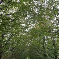 Parc Hosingen - Soleuvre