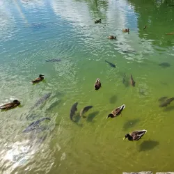 Parc de Merl - Strassen