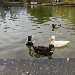 Parc de Merl - Strassen