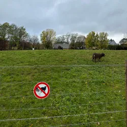 Parc Municipal de Strassen - Strassen