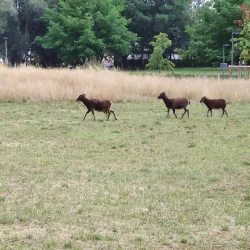 Parc Municipal de Strassen - Strassen