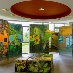 Parc Hosingen - Tetange