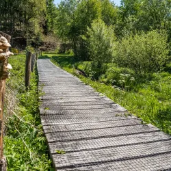 Weiswampach Nature Trails - Weiswampach