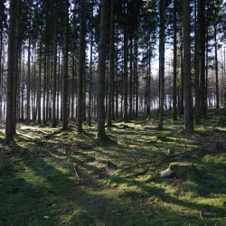 Weiswampach Nature Trails - Weiswampach