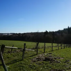 Weiswampach Nature Trails - Weiswampach