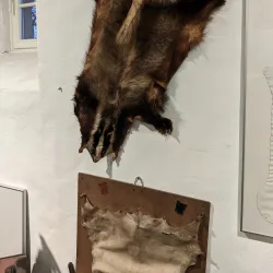 National Museum of Brewing - Wiltz