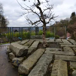 Parc de Wiltz - Wiltz