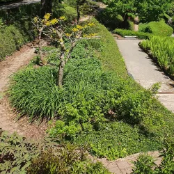 Parc de Wiltz - Wiltz