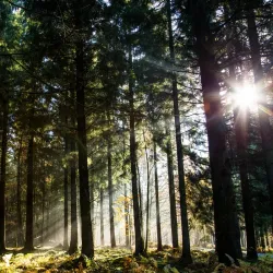 The Ardennes Nature Park - Wiltz