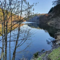 The Upper Sûre Lake - Wiltz