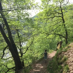 The Upper Sûre Lake - Wiltz