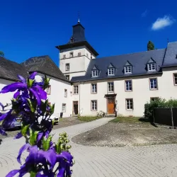 Wiltz Castle (Château de Wiltz) - Wiltz