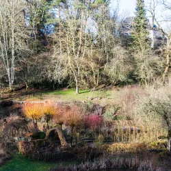 Wiltz Town Center - Wiltz